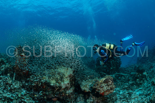 Maldivesfriends2023
