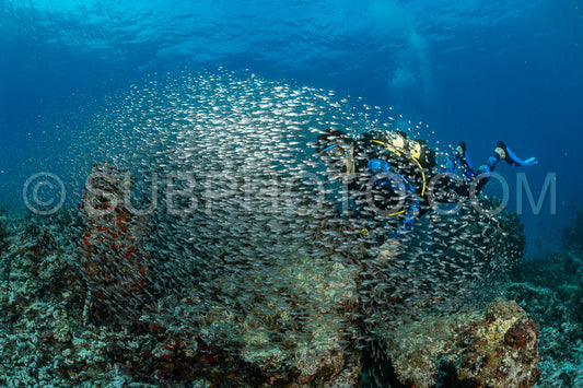 Maldivesfriends2023