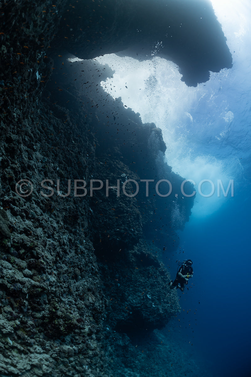 diver visiting a reef wall