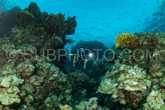 Tek diver using a rebreather discovering the majesty of coral structures in the Red Sea