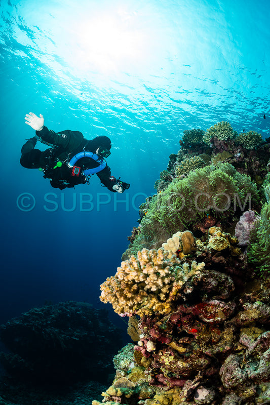 Tek diver with a rebreather visiting Gota Jeny's cave Red Sea Egypt