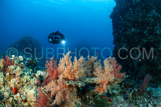 Tek diver using a rebreather discovering the majesty of coral structures in the Red Sea