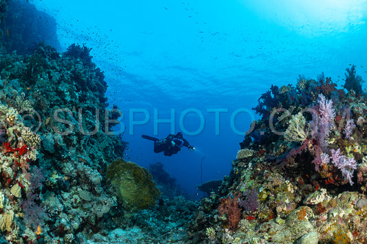 Tek diver using a rebreather discovering the majesty of coral structures in the Red Sea