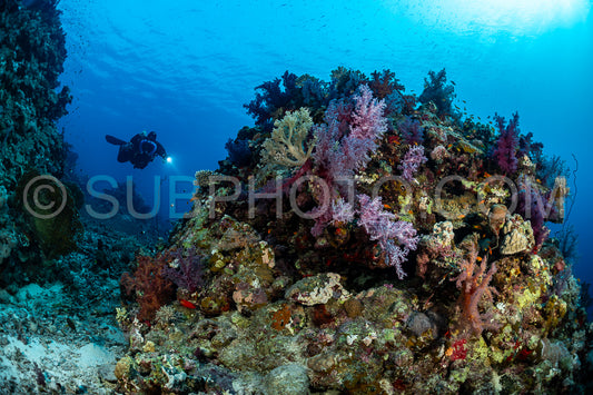 Tek diver using a rebreather discovering the majesty of coral structures in the Red Sea