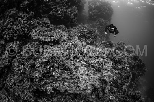 Tek diver using a rebreather discovering the majesty of coral structures in the Red Sea