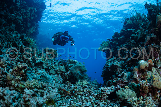 Tek diver using a rebreather discovering the majesty of coral structures in the Red Sea