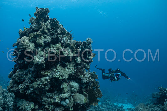 Tek diver using a rebreather discovering the majesty of coral structures in the Red Sea