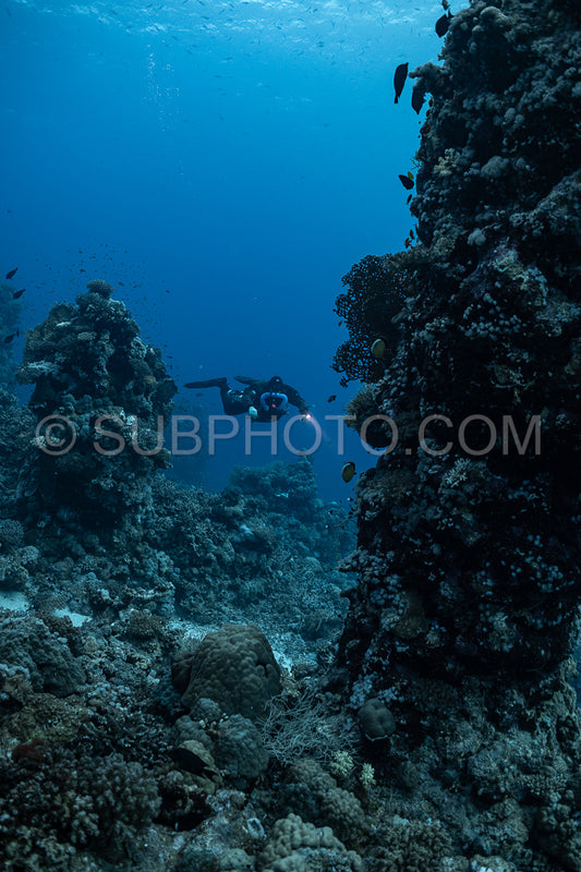 Tek diver using a rebreather discovering the majesty of coral structures in the Red Sea