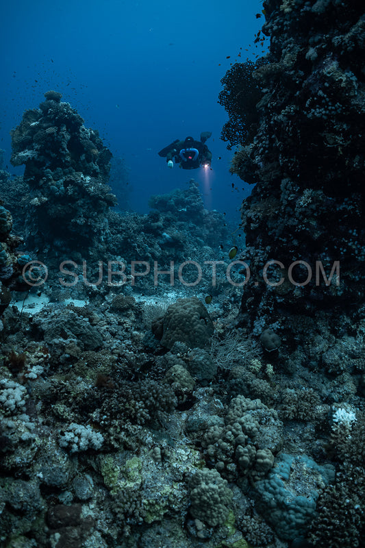 Tek diver using a rebreather discovering the majesty of coral structures in the Red Sea