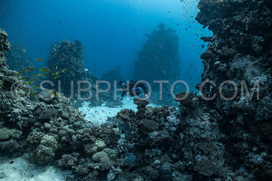 Tek diver using a rebreather discovering the majesty of coral structures in the Red Sea
