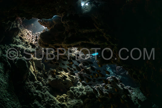 Tek diver with a rebreather visiting Sha'ab Claudio cave Red Sea Egypt