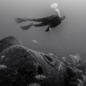 Black and white: diver with torch above wreck boiler surrounded by fish, Ville de Rochefort wreck, Brittany, France
