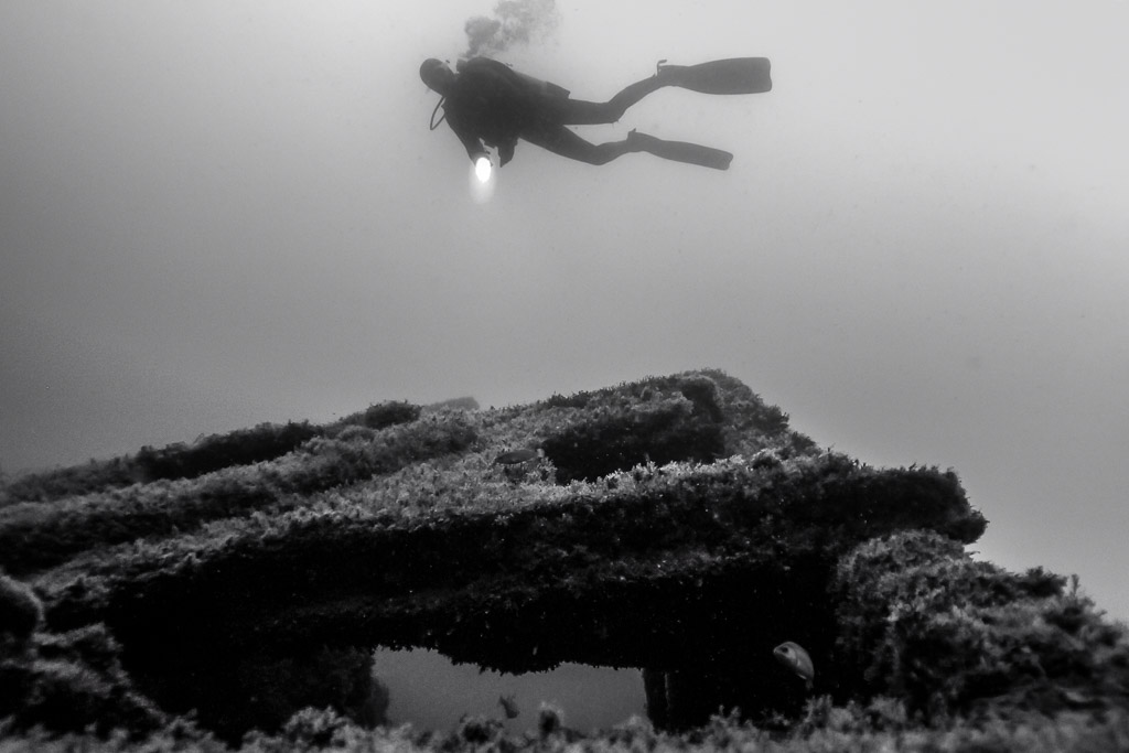Black and white: diver hovering above a flat collapsed wreck section, Ville de Rochefort wreck, Brittany, France