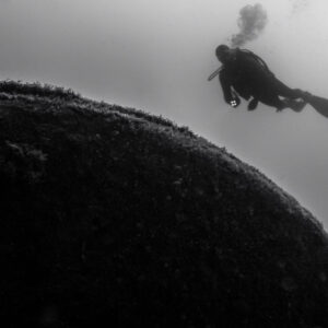 Black and white: diver silhouette above the curve of a wreck boiler, Ville de Rochefort wreck, Brittany, France