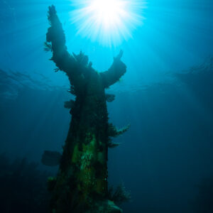 Statue du Christ des Abysses en contre-jour sous un soleil étoilé, cadrage large, Key Largo, Floride, États-Unis