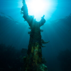 Bras levés du Christ des Abysses face au soleil éclatant, cadrage serré, Key Largo, Floride, États-Unis