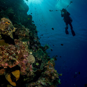 Photographe sous-marin en silhouette le long d’un tombant sous le soleil, Bunaken, Sulawesi du Nord, Indonésie