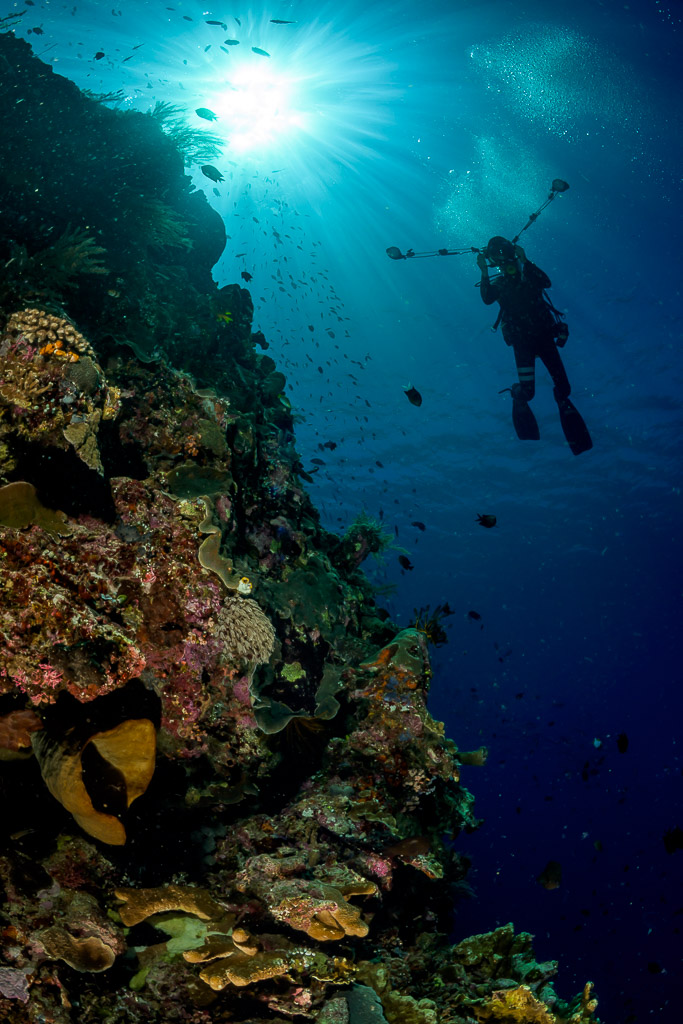 Underwater photographer silhouetted beside a reef wall under the sun, Bunaken, North Sulawesi, Indonesia