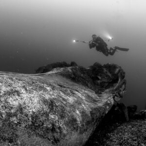 Black and white: diver above a sperm whale skull on the seabed, Bunaken, North Sulawesi, Indonesia