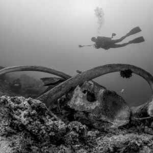Black and white: diver over whale bones in shallow water, Bunaken, North Sulawesi, Indonesia