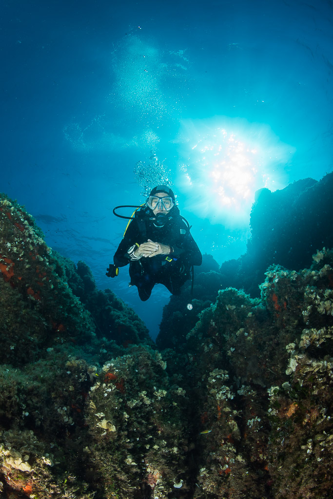 Woman diver centred in a gully with sunburst behind her, Porto-Vecchio, Corsica, France