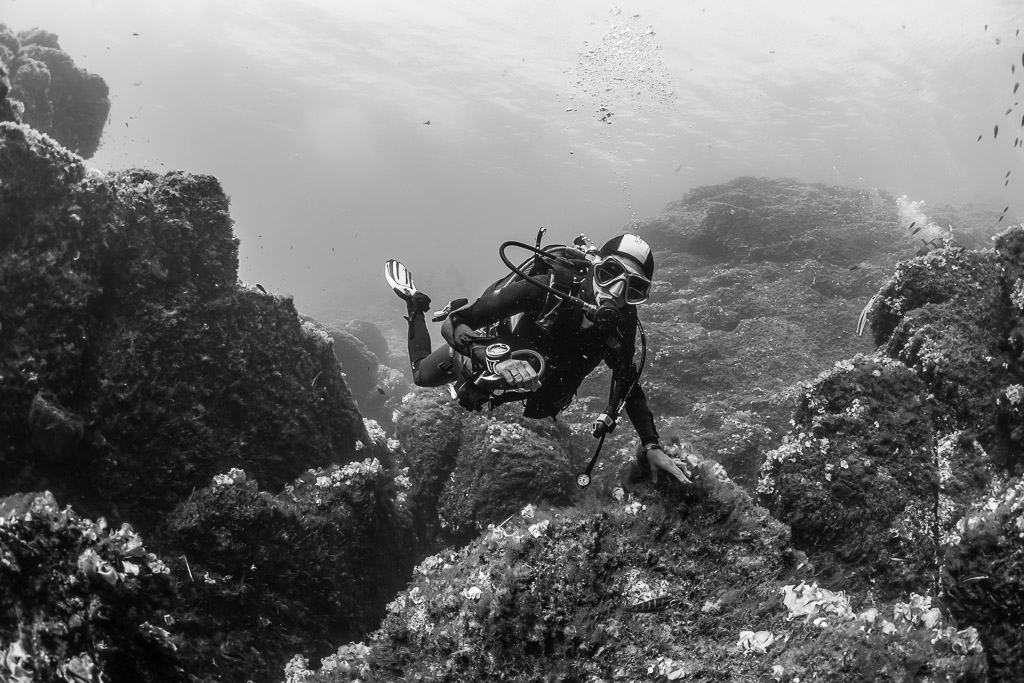 Black and white: woman diver raising a hand above rocky reef, Porto-Vecchio, Corsica, France