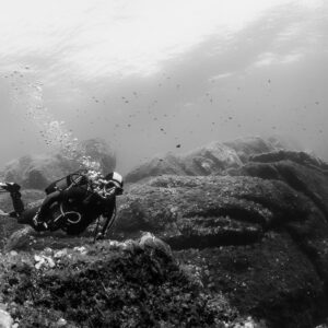 Black and white: woman diver gliding low over rocks below the surface, Porto-Vecchio, Corsica, France