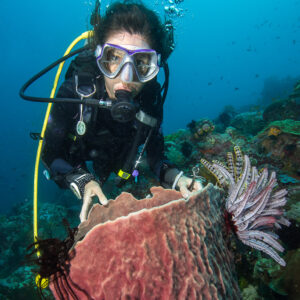 Woman diver behind a barrel sponge looking at the camera, Anilao, Batangas, Philippines