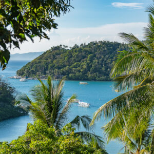 Bay and green island framed by palm fronds, vertical, Puerto Galera, Mindoro, Philippines