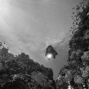 Black and white diver silhouette in a reef channel, backlit, Puerto Galera, Mindoro, Philippines
