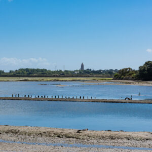 Chenal de marée bordé de rangées de pieux, clocher à l’horizon, Le Croisic, Bretagne, France