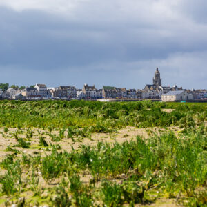 Glasswort meadow on salt flat with waterfront town and church tower beyond, Le Croisic, Brittany, France