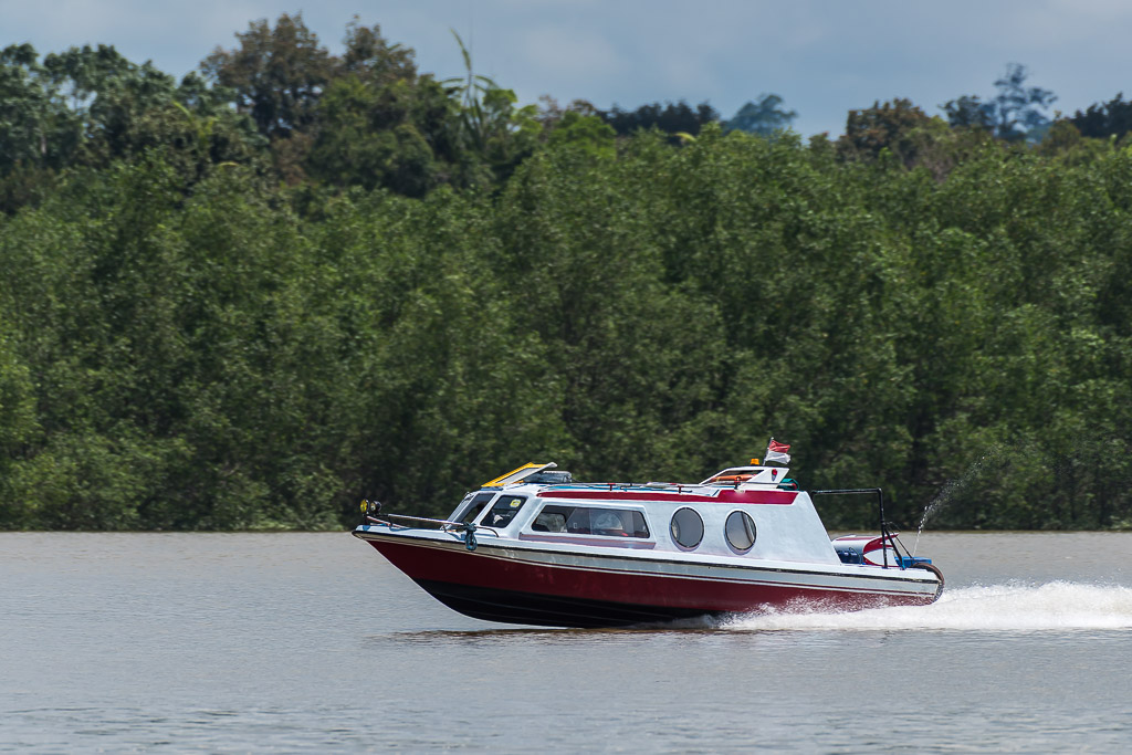 Bateau-taxi rapide rouge et blanc filant sur un fleuve brun, Maratua, Kalimantan (Bornéo), Indonésie