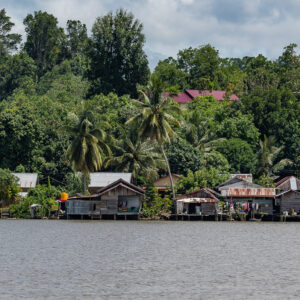 Row of stilt houses under coconut palms along a riverbank, wide view, Maratua, Kalimantan (Borneo), Indonesia