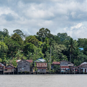 Alignement de maisons en bois patinées sur pilotis sous la forêt et un ciel nuageux, Maratua, Kalimantan (Bornéo), Indonésie