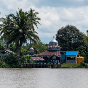 Small silver-domed mosque among coconut palms on the riverbank, Maratua, Kalimantan (Borneo), Indonesia