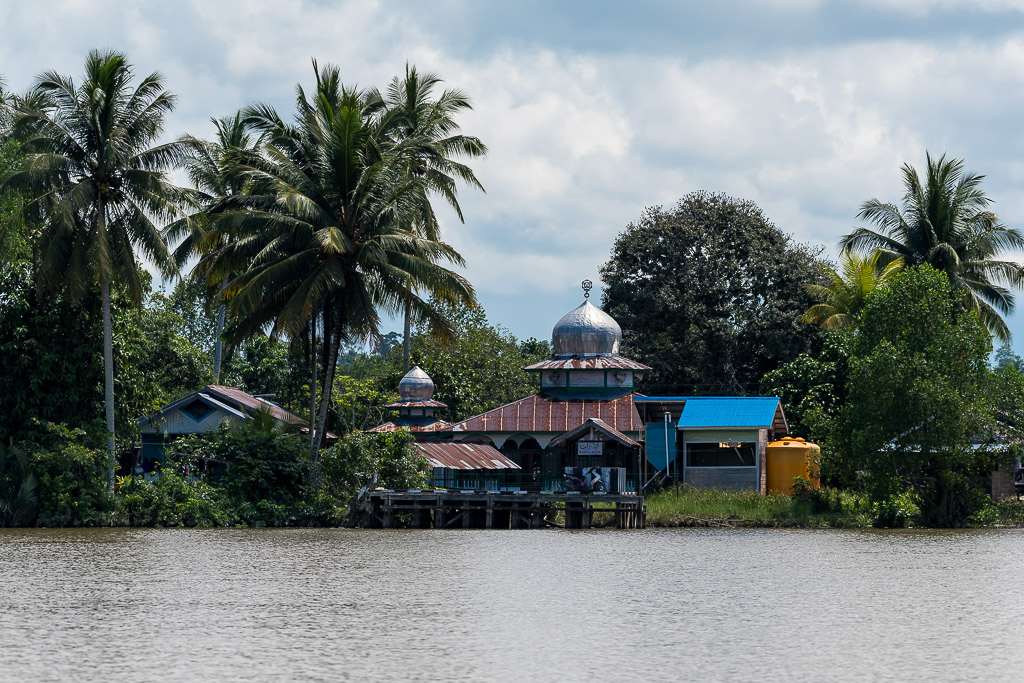 Small silver-domed mosque among coconut palms on the riverbank, Maratua, Kalimantan (Borneo), Indonesia