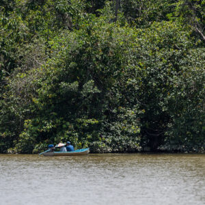 Lone person in a small canoe beneath dense riverbank vegetation, Maratua, Kalimantan (Borneo), Indonesia