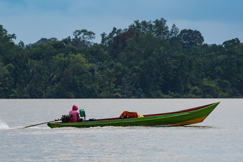 Boatman in a pink hood steering a green wooden longboat, Maratua, Kalimantan (Borneo), Indonesia