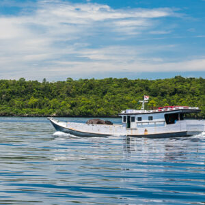 Bateau à moteur blanc en bois longeant la côte boisée d’une île, Maratua, Kalimantan (Bornéo), Indonésie
