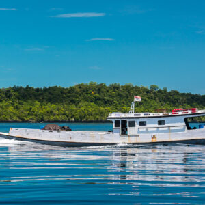 Bateau blanc en bois naviguant sur une eau d’huile devant une côte verdoyante, Maratua, Kalimantan (Bornéo), Indonésie