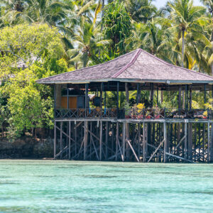 Thatched-roof stilt pavilion over clear water among coconut palms, Maratua, Kalimantan (Borneo), Indonesia