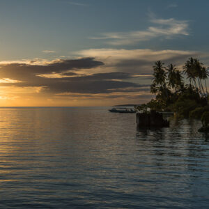 Golden sunset over calm sea with palm-fringed island silhouette, Maratua, Kalimantan (Borneo), Indonesia