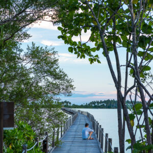 Wooden boardwalk framed by trees with a seated person, vertical, Maratua, Kalimantan (Borneo), Indonesia