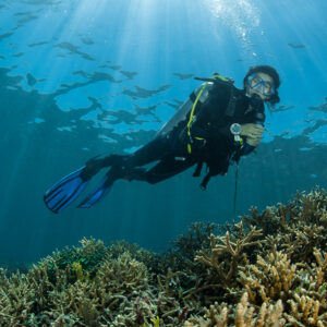 Scuba diver gliding over a shallow coral reef with sun rays, Maratua, Kalimantan (Borneo), Indonesia