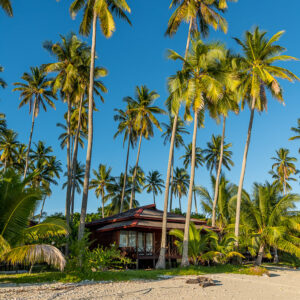 Tall coconut palms over a bungalow on a white sand beach, vertical, Maratua, Kalimantan (Borneo), Indonesia
