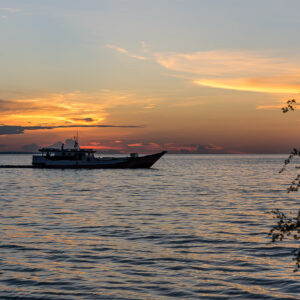 Bateau seul sur la mer au coucher du soleil, silhouette d’arbre à droite, Maratua, Kalimantan (Bornéo), Indonésie