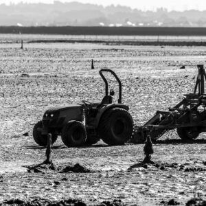 Tracteur et engin de récolte tracté avec ouvrier sur l’estran, en noir et blanc, Le Croisic, Bretagne, France