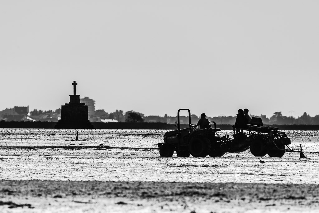 High-contrast black-and-white tractor carrying two people across flat, stone cross behind, Le Croisic, Brittany, France