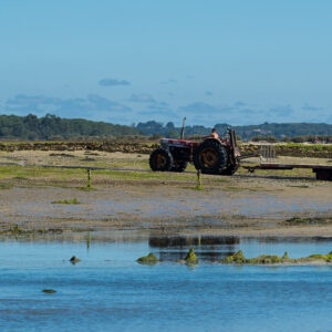 Red tractor and trailer parked on seaweed flat, reflected in a channel, Le Croisic, Brittany, France